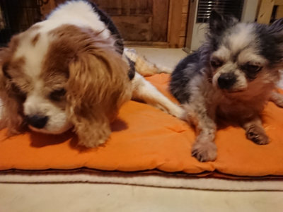f:id:roukenhome-ann:20190228135132j:plain f:id:roukenhome-ann:20190228135132j:plain