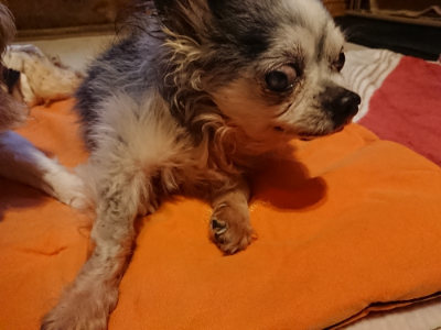 f:id:roukenhome-ann:20190228135137j:plain f:id:roukenhome-ann:20190228135137j:plain