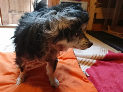 f:id:roukenhome-ann:20190228135142j:plain f:id:roukenhome-ann:20190228135142j:plain