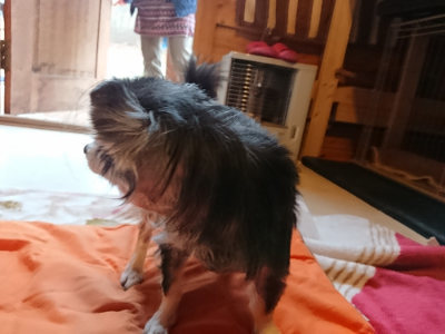 f:id:roukenhome-ann:20190228135154j:plain f:id:roukenhome-ann:20190228135154j:plain