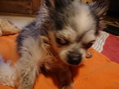 f:id:roukenhome-ann:20190228135211j:plain f:id:roukenhome-ann:20190228135211j:plain