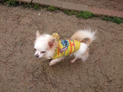 f:id:roukenhome-ann:20190302072405j:plain f:id:roukenhome-ann:20190302072405j:plain