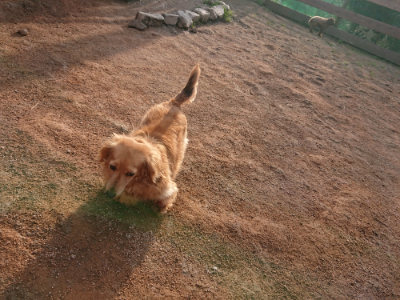 f:id:roukenhome-ann:20190302203014j:plain