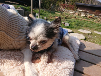 f:id:roukenhome-ann:20190302210010j:plain