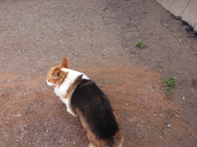 f:id:roukenhome-ann:20190304053616j:plain f:id:roukenhome-ann:20190304053616j:plain