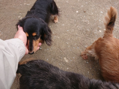 f:id:roukenhome-ann:20190304080216j:plain f:id:roukenhome-ann:20190304080216j:plain