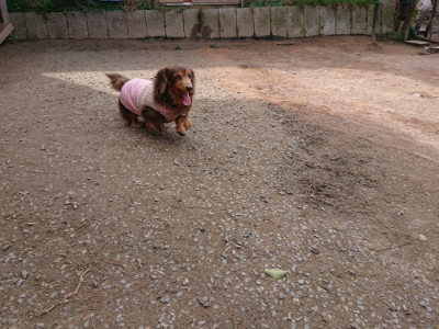 f:id:roukenhome-ann:20190304080245j:plain f:id:roukenhome-ann:20190304080245j:plain