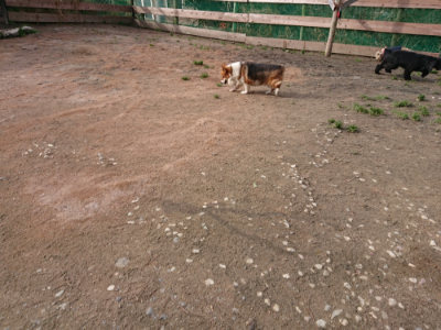 f:id:roukenhome-ann:20190304080453j:plain f:id:roukenhome-ann:20190304080453j:plain