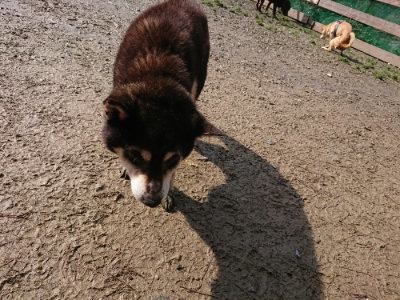 f:id:roukenhome-ann:20190306053418j:plain
