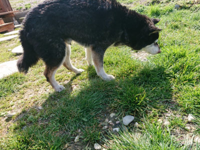f:id:roukenhome-ann:20190306053430j:plain