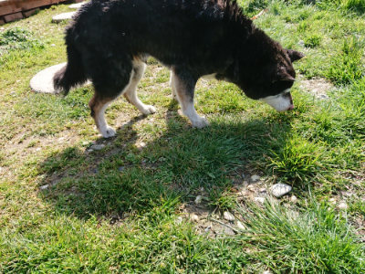 f:id:roukenhome-ann:20190306053453j:plain