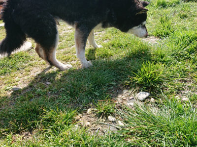 f:id:roukenhome-ann:20190306053459j:plain