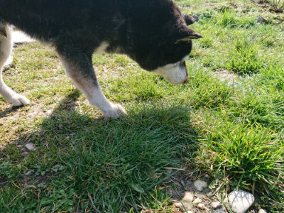 f:id:roukenhome-ann:20190306053530j:plain