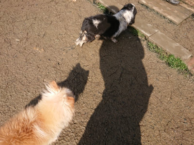 f:id:roukenhome-ann:20190306064843j:plain