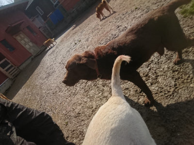 f:id:roukenhome-ann:20190306064853j:plain