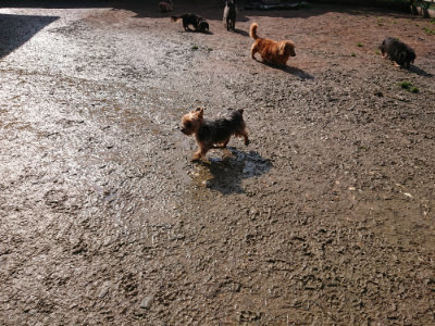 f:id:roukenhome-ann:20190306065045j:plain