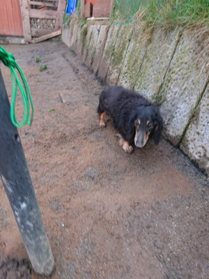 f:id:roukenhome-ann:20190306065101j:plain