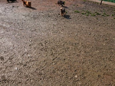 f:id:roukenhome-ann:20190306065107j:plain