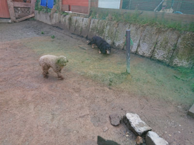 f:id:roukenhome-ann:20190306065153j:plain