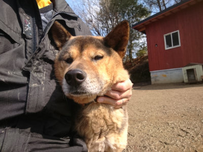 f:id:roukenhome-ann:20190306065317j:plain