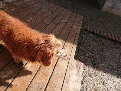 f:id:roukenhome-ann:20190306065322j:plain