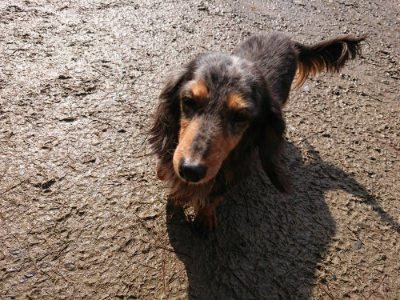 f:id:roukenhome-ann:20190306065339j:plain