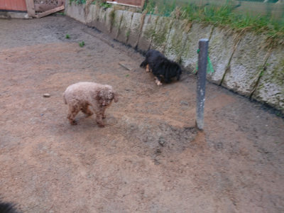 f:id:roukenhome-ann:20190306065426j:plain