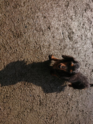 f:id:roukenhome-ann:20190306065433j:plain