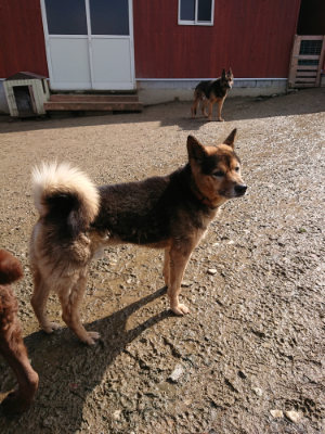 f:id:roukenhome-ann:20190306065439j:plain