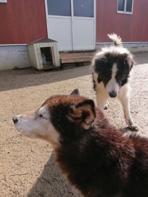 f:id:roukenhome-ann:20190306065450j:plain