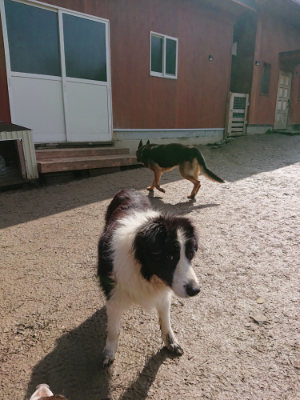 f:id:roukenhome-ann:20190306065503j:plain