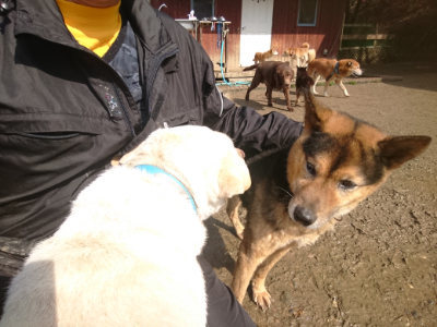 f:id:roukenhome-ann:20190306065612j:plain