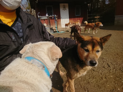 f:id:roukenhome-ann:20190306065618j:plain