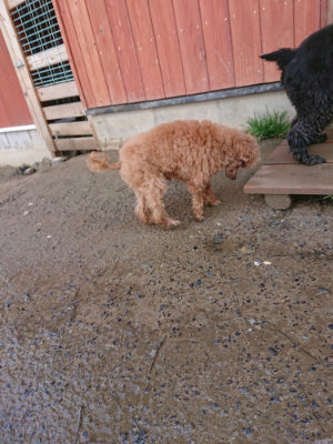 f:id:roukenhome-ann:20190306070257j:plain