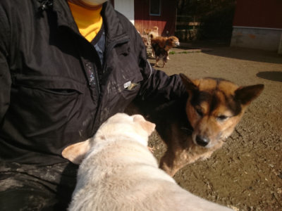 f:id:roukenhome-ann:20190306070326j:plain