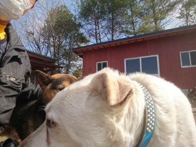 f:id:roukenhome-ann:20190306070342j:plain