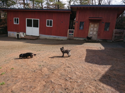 f:id:roukenhome-ann:20190306070415j:plain