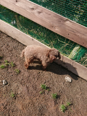 f:id:roukenhome-ann:20190306070445j:plain