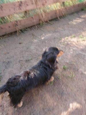 f:id:roukenhome-ann:20190306070548j:plain