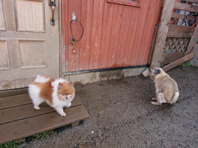 f:id:roukenhome-ann:20190306070605j:plain