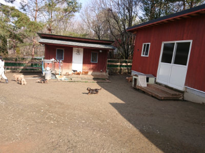 f:id:roukenhome-ann:20190306070610j:plain