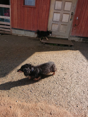 f:id:roukenhome-ann:20190306070615j:plain
