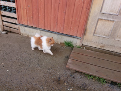 f:id:roukenhome-ann:20190306070631j:plain