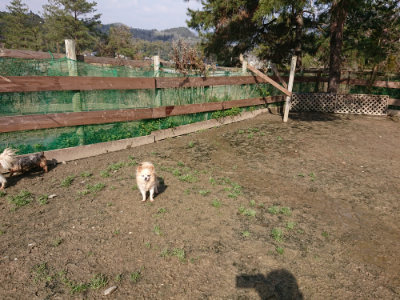f:id:roukenhome-ann:20190306070923j:plain