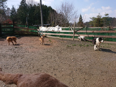 f:id:roukenhome-ann:20190306070928j:plain
