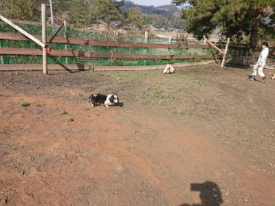 f:id:roukenhome-ann:20190306070951j:plain