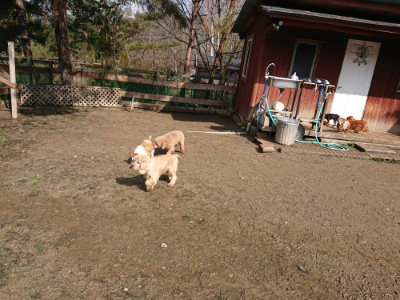 f:id:roukenhome-ann:20190306071016j:plain