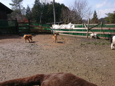 f:id:roukenhome-ann:20190306071021j:plain
