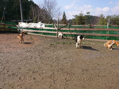 f:id:roukenhome-ann:20190306071026j:plain