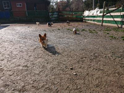 f:id:roukenhome-ann:20190306071044j:plain